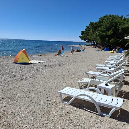 Villa Plesa With Office And Private Pool Povljana