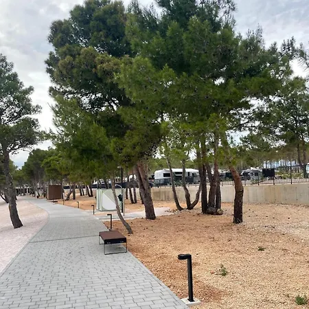 Plesa With Office And Private Pool Vila