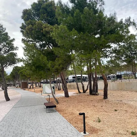 Plesa With Office And Private Pool Villa